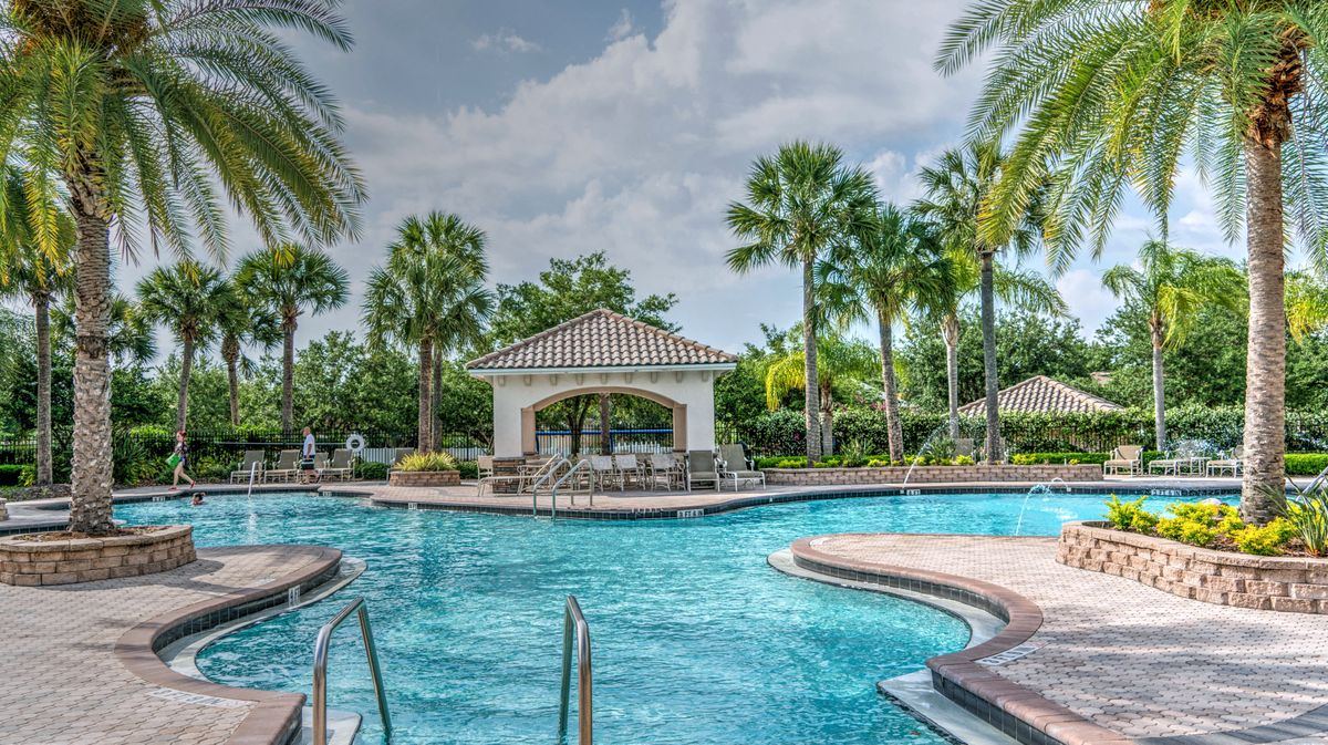 Piscine paysagée avec palmiers et aménagement extérieur